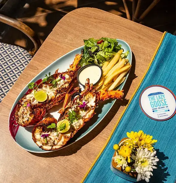 Lazy Goos, a relaxing spot in Goa