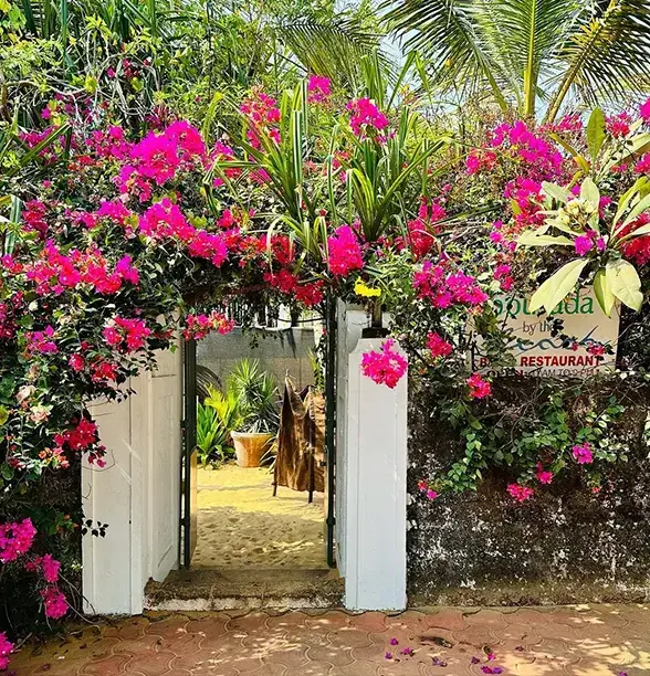 Posada by the Beach, a charming beachfront hotel